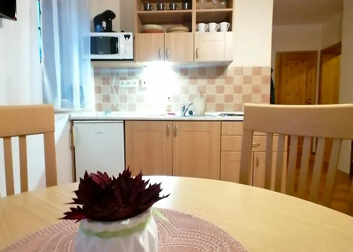 Apartament Slunicko *